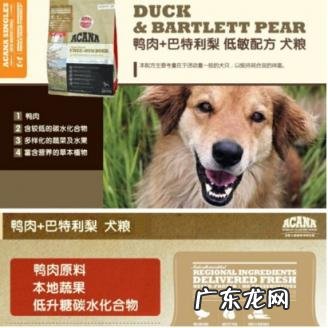 麦富迪鸭肉梨狗粮怎么样 爱肯拿鸭肉梨狗粮怎么样啊
