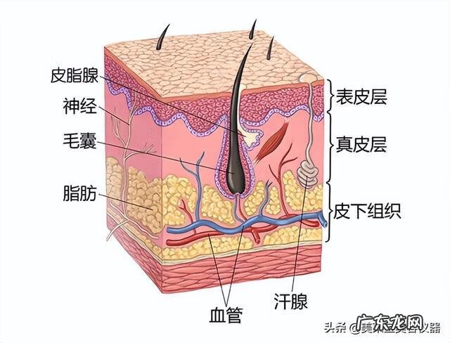 脸部毛孔粗大怎么处理 脸部毛孔特别大怎么办
