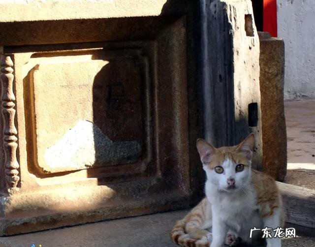 广东省最穷的徐闻县 广东徐闻旧街风水