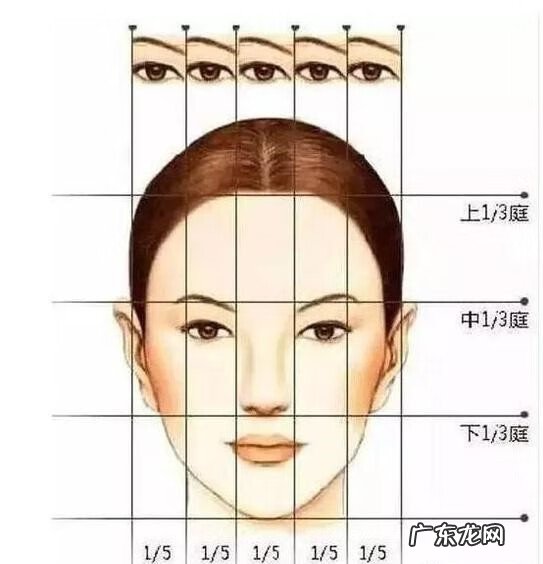 三庭五眼与面部风水 三庭五眼面相风水学