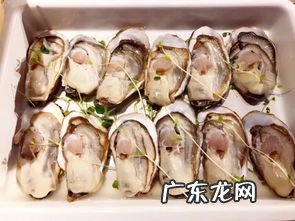 江瑶贝柱家常做法 江瑶贝的图片