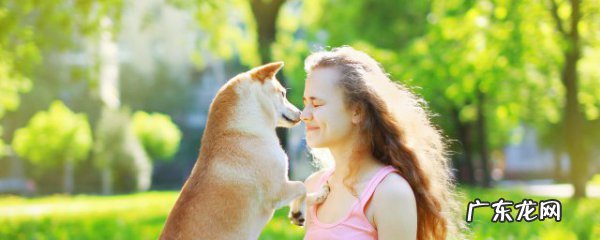 狗可以吃什么食物清单,狗狗适合吃的食物清单