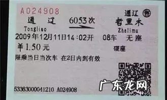 新手第一次坐高铁流程温州到江苏视频 火车代表的字母是什么意思