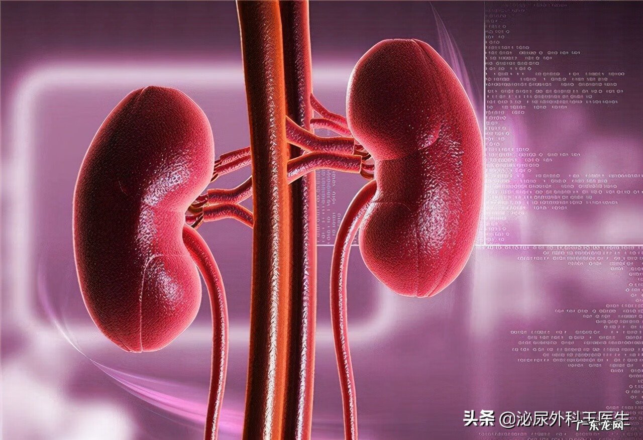 男性最滋阴补肾的食物 男性补肾食物有哪些