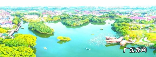 团队凝聚力 凝聚力和团队精神