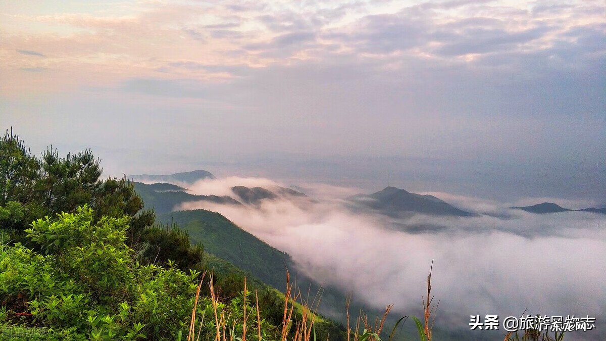 江西哪个村是全部看风水的 江西看风水出名的县