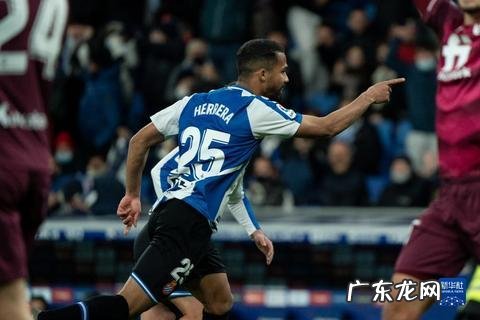 扬格外语 扬格利