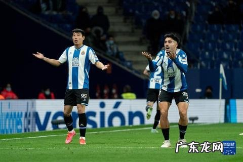 扬格外语 扬格利