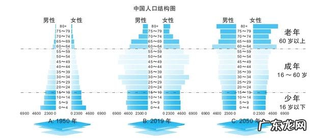 什么是老龄化社会 社会老龄化的原因