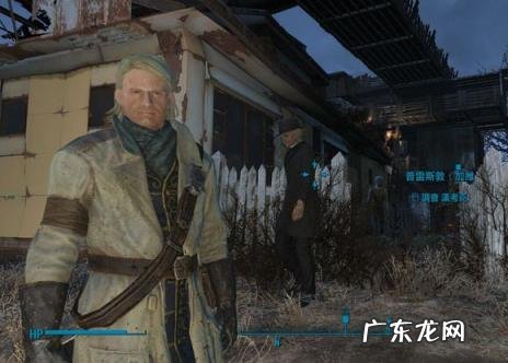 辐射4捏脸代码大全 辐射4 捏脸代码怎么用