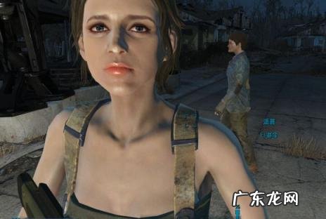 辐射4捏脸代码大全 辐射4 捏脸代码怎么用