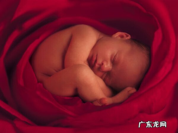 阴阳师赤舌哪里打 赤舌是什么原因引起的