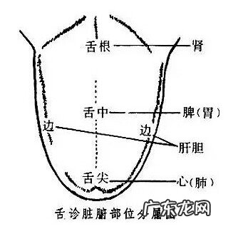 阴阳师赤舌哪里打 赤舌是什么原因引起的