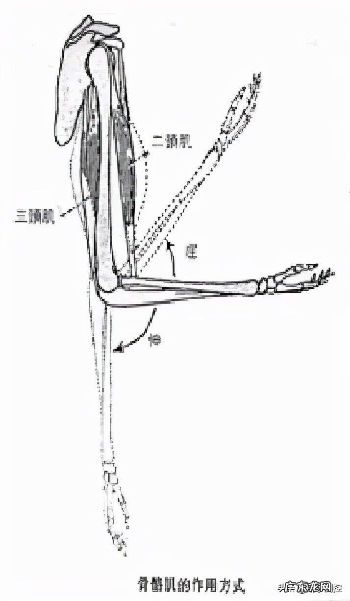 专用风水罗盘 风水罗盘支架大全
