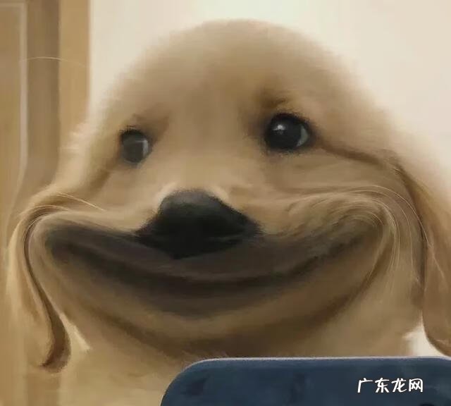 英语四级怎样备考 四级备考方法