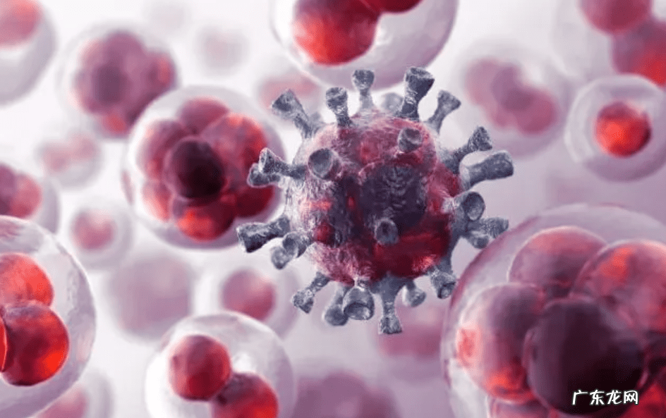 妇科炎症吃什么药好得快 妇科炎症用药一般多久