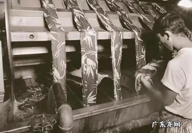 夏威夷坚果对人体的功效与作用 夏威夏威夷果的功效与作用