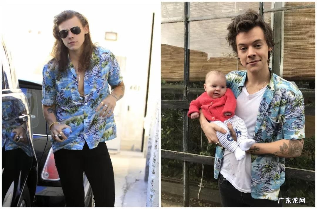 夏威夷坚果对人体的功效与作用 夏威夏威夷果的功效与作用