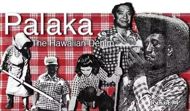 夏威夷坚果对人体的功效与作用 夏威夏威夷果的功效与作用