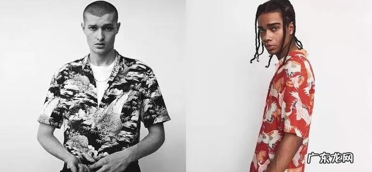 夏威夷坚果对人体的功效与作用 夏威夏威夷果的功效与作用