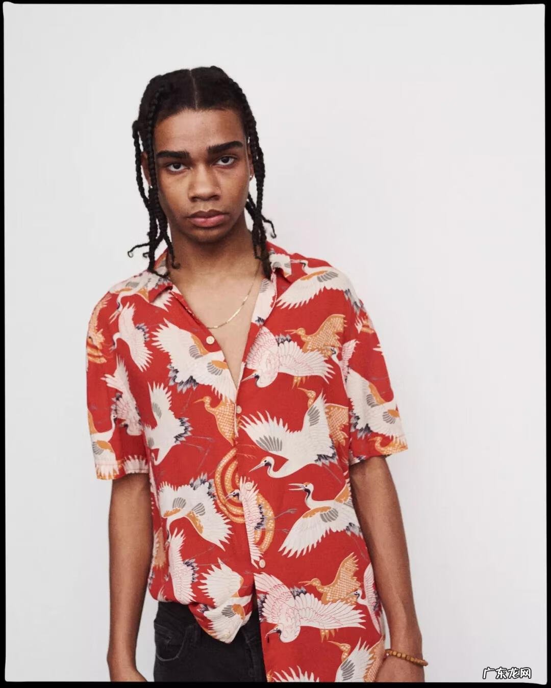 夏威夷坚果对人体的功效与作用 夏威夏威夷果的功效与作用