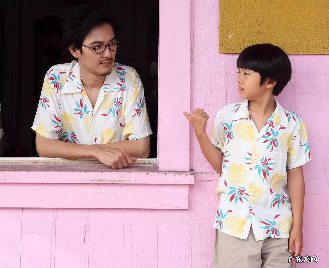 夏威夷坚果对人体的功效与作用 夏威夏威夷果的功效与作用