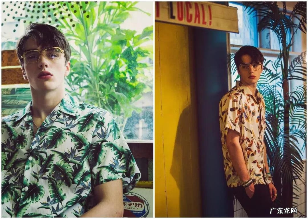 夏威夷坚果对人体的功效与作用 夏威夏威夷果的功效与作用