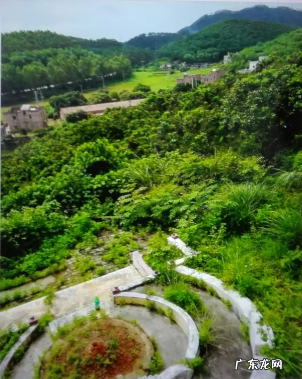 流年冲开墓库 风水倒冲墓库详解