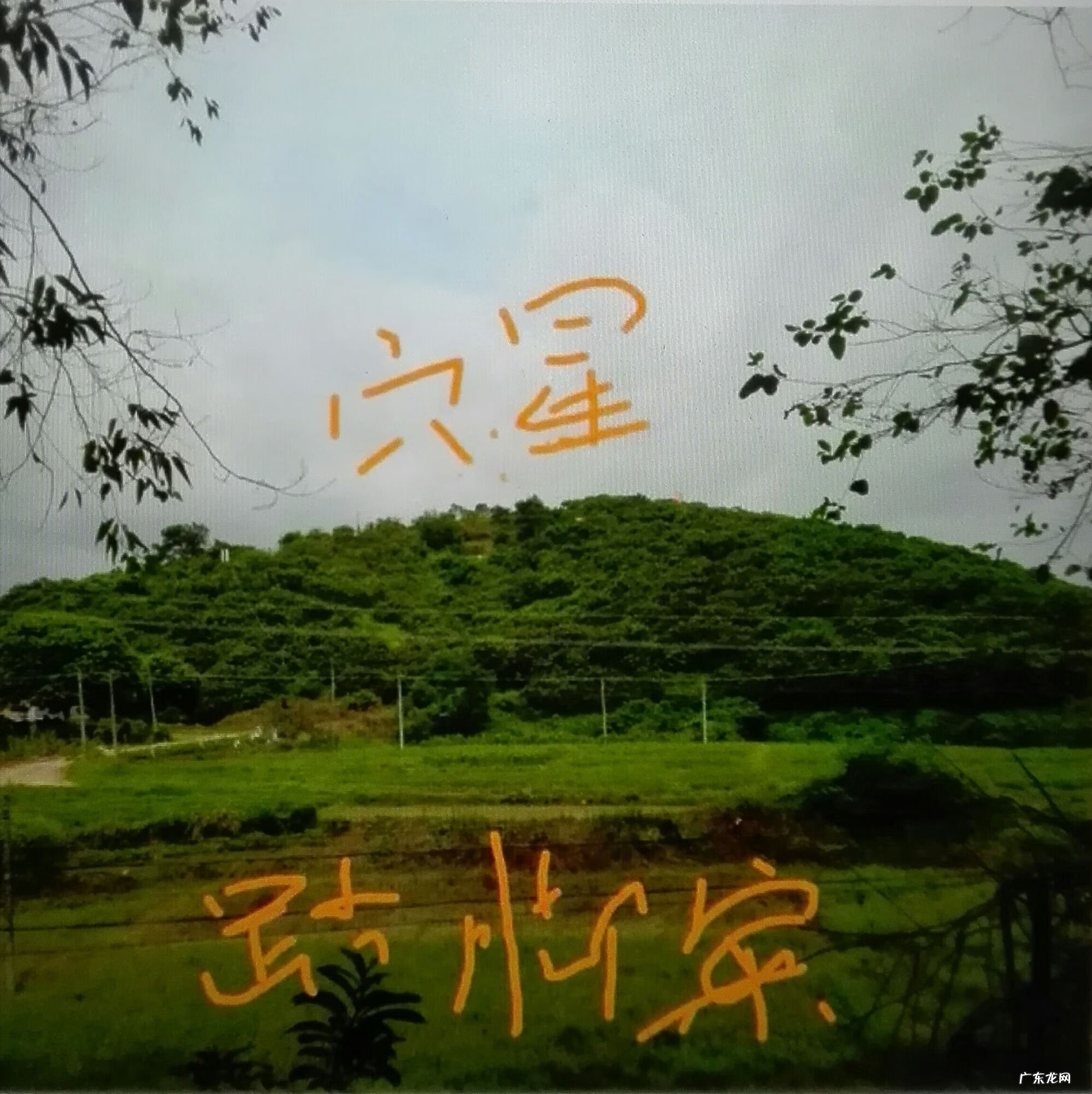 流年冲开墓库 风水倒冲墓库详解