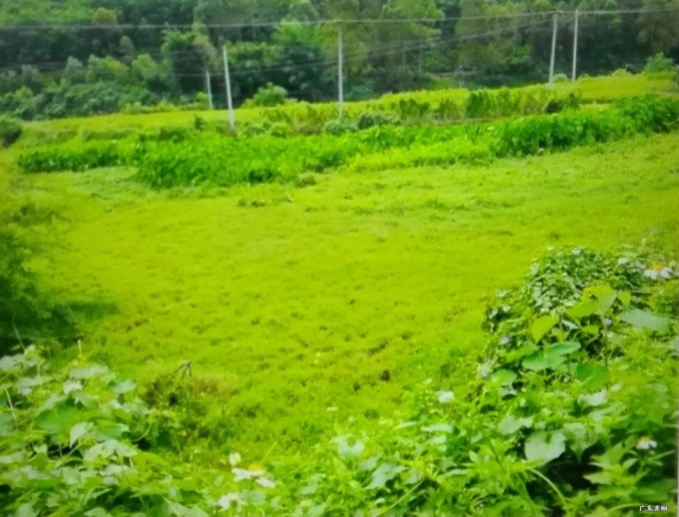 流年冲开墓库 风水倒冲墓库详解