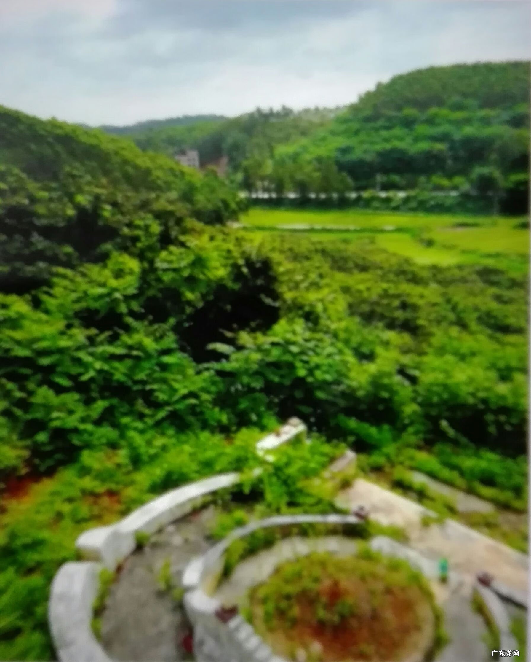 流年冲开墓库 风水倒冲墓库详解