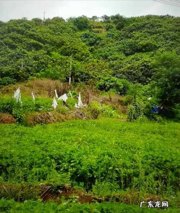 流年冲开墓库 风水倒冲墓库详解