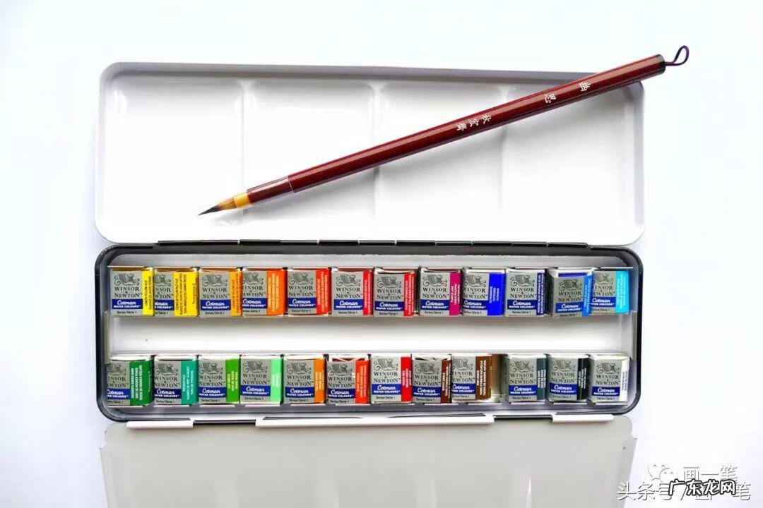 槐树叶子图片怎么画 画槐树的瓶子