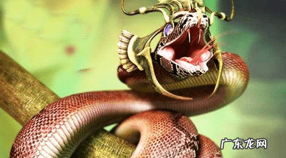 风水罗盘哪种品牌好 风水罗盘哪家质量好