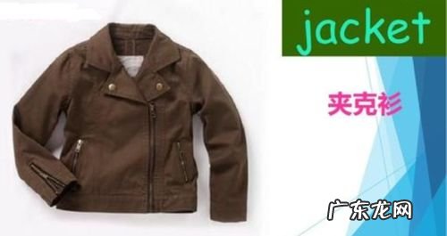 夹克衫用英语怎样写 夹克衫英文怎么读的