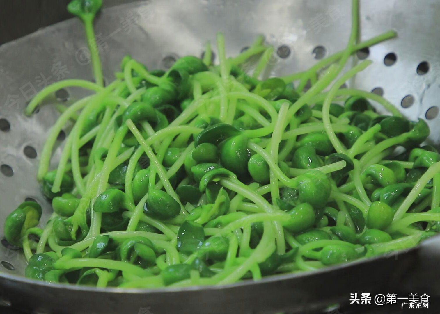 一周晚餐菜谱 一周晚餐食谱大全