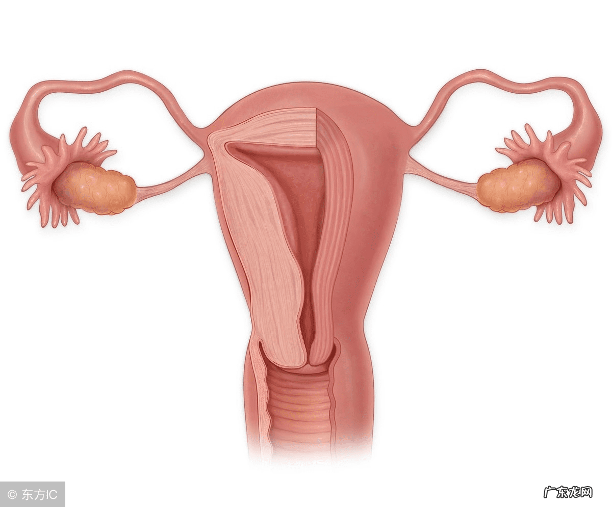 子宫内膜增厚有哪些症状表现 子宫内膜增厚的症状表现