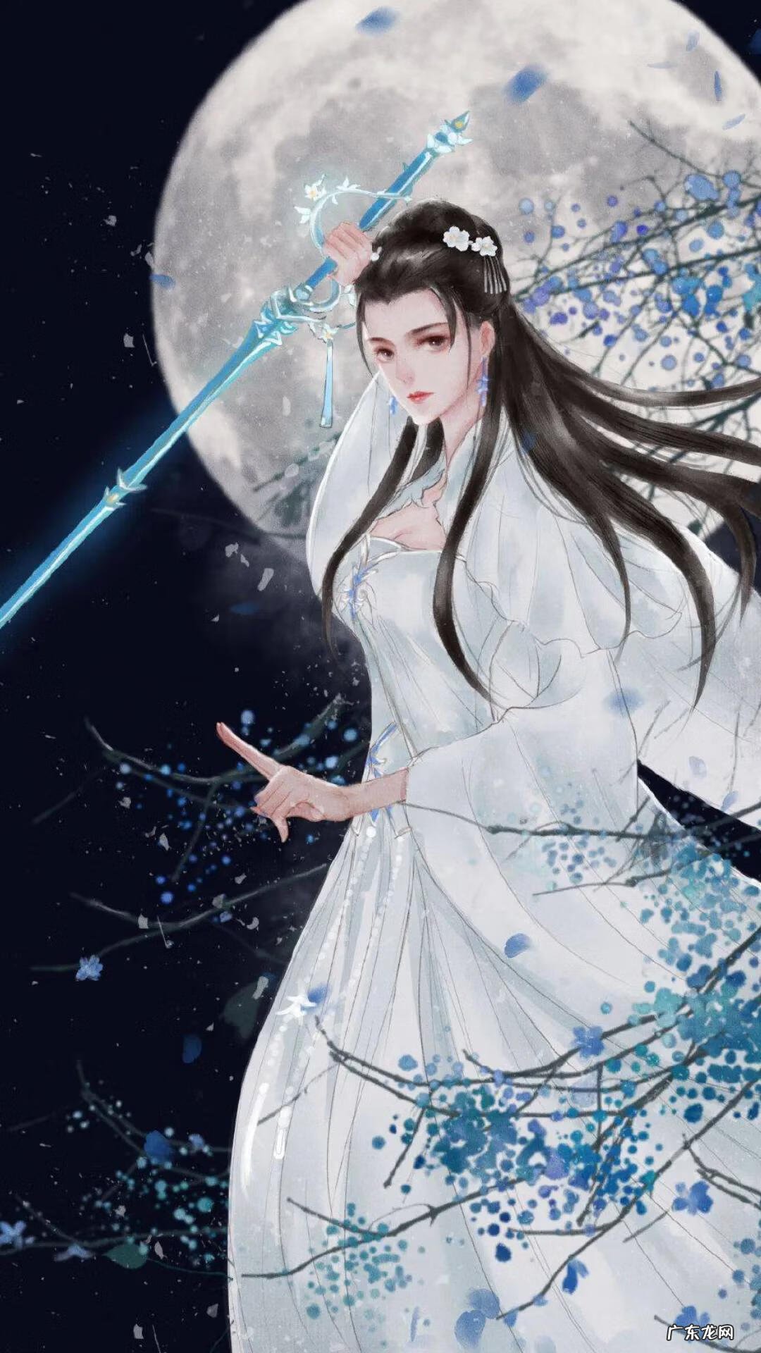 陆雪琪手机动态壁纸 陆雪琪手机壁纸