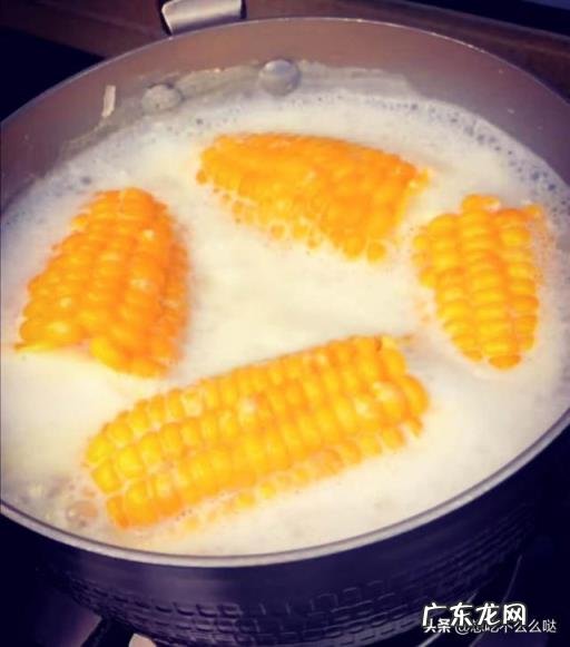 玉米粒的家常做法,蜂窝玉米粒的做法是什么样的 玉米粒的家常做法,蜂窝玉米粒的做法是什么意思