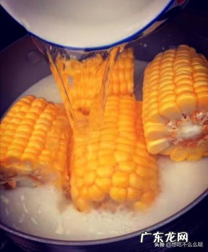 玉米粒的家常做法,蜂窝玉米粒的做法是什么样的 玉米粒的家常做法,蜂窝玉米粒的做法是什么意思