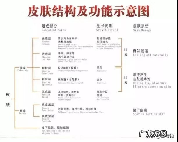 婴儿出湿疹是什么原因 什么叫婴儿湿疹