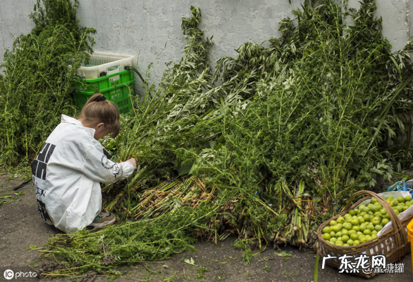 婴儿出湿疹是什么原因 什么叫婴儿湿疹