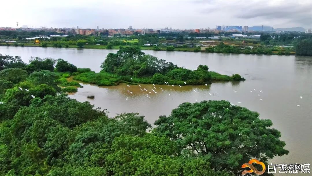 水池叠水图片 风水池图片