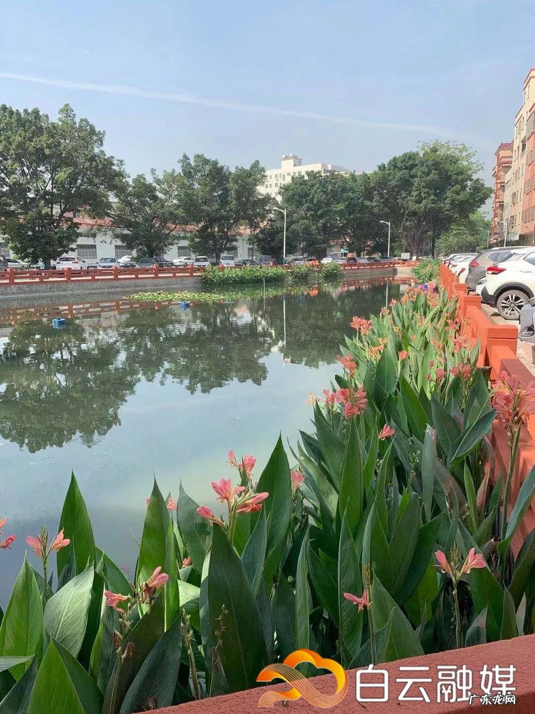 水池叠水图片 风水池图片