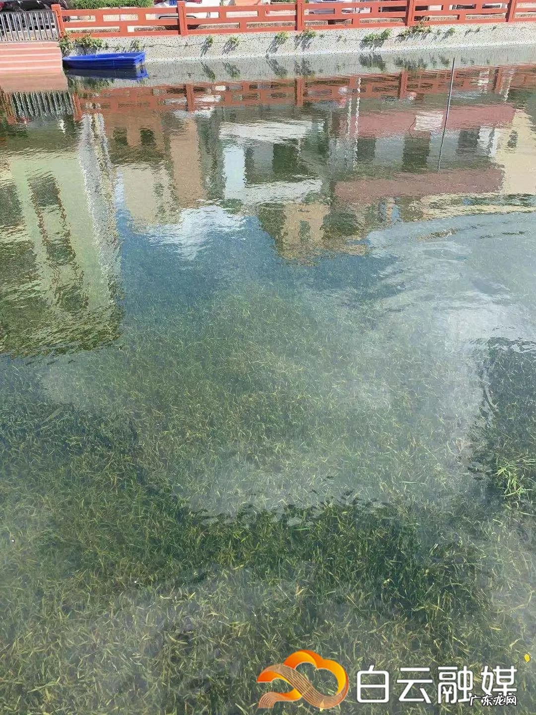 水池叠水图片 风水池图片