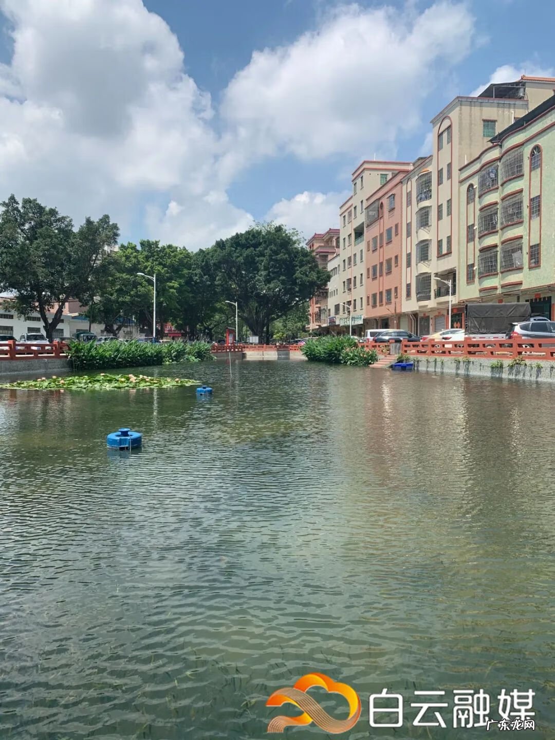 水池叠水图片 风水池图片