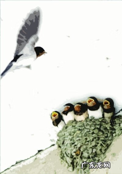 屋檐滴水的风水说法 室内屋檐设计风水