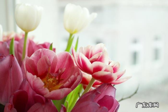 这4种表现说明他已经爱你到骨子了吗 爱你爱到了骨子里英文