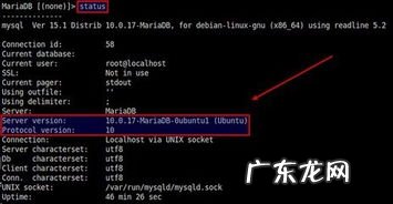 linux系统怎么打开运行 linux查看系统版本命令大全