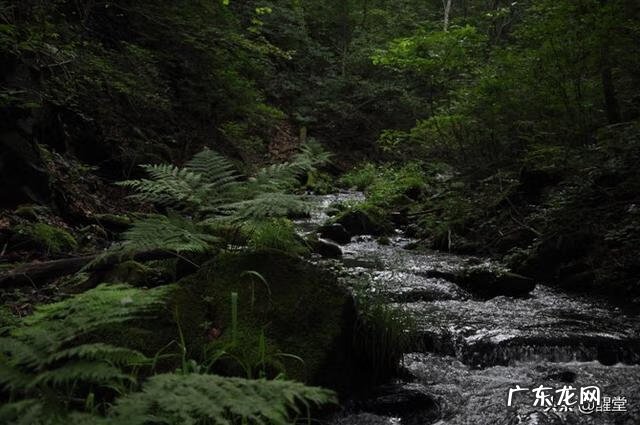 兴凯湖附近景点 兴凯湖旅游攻略